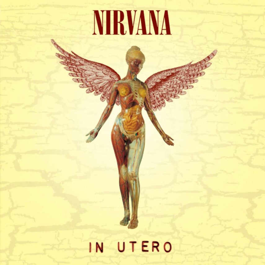 nirvana in utero