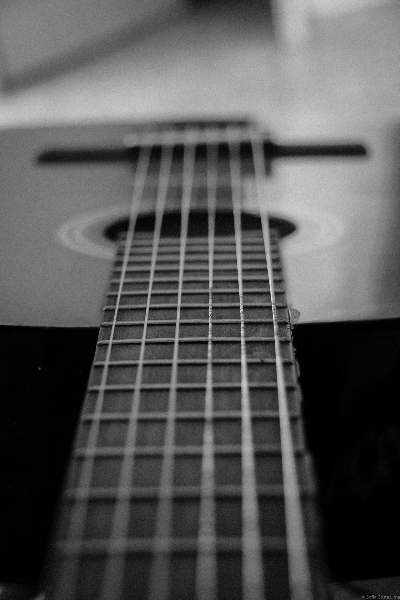 guitarra preto e branco