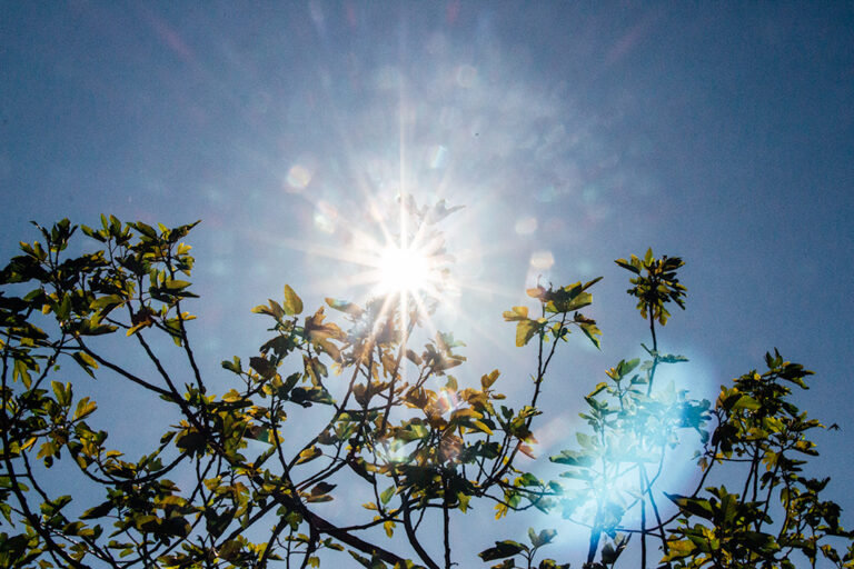 Ao Sol