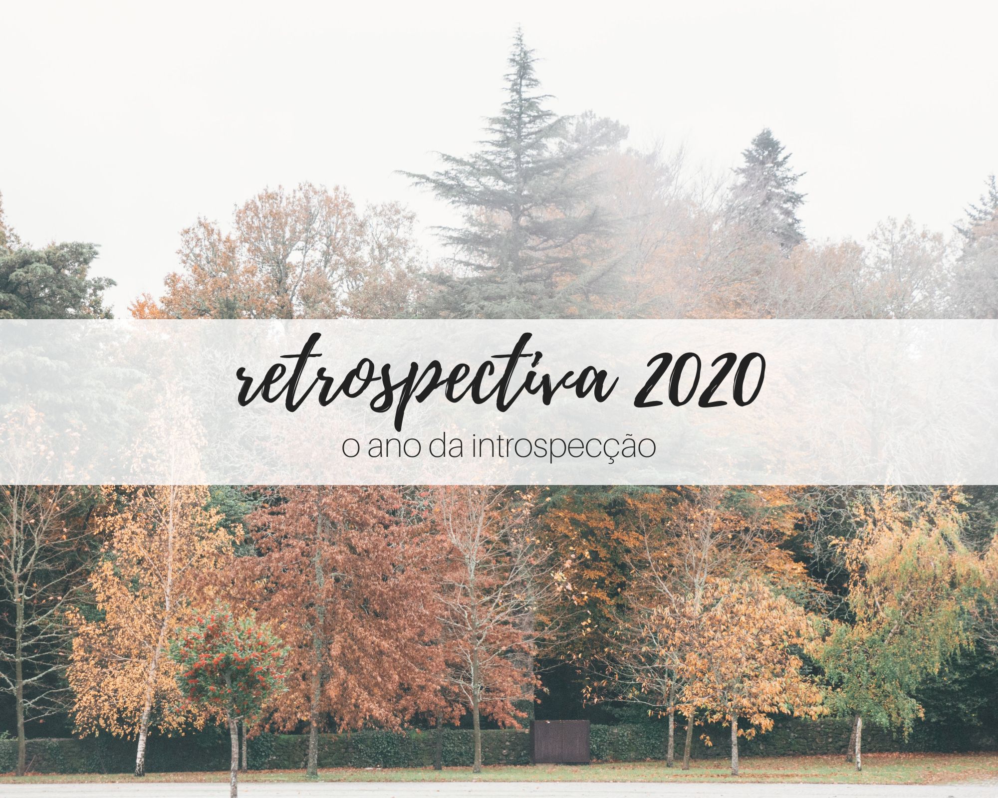 2020: O Ano da Introspecção