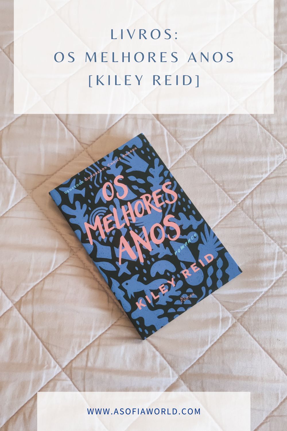 os melhores anos Kiley reid