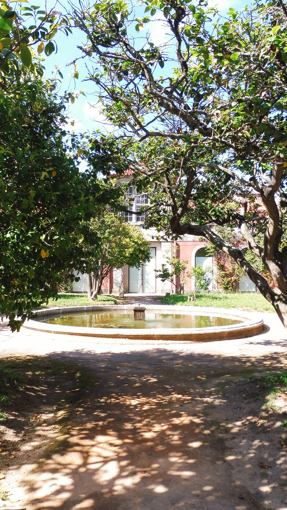 museu nacional soares dos reis