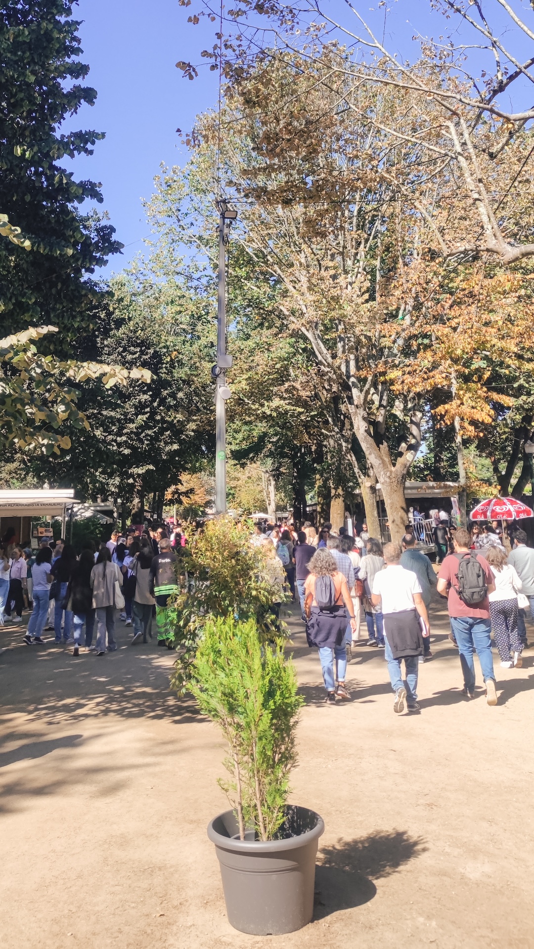 feira do livro do porto 2024