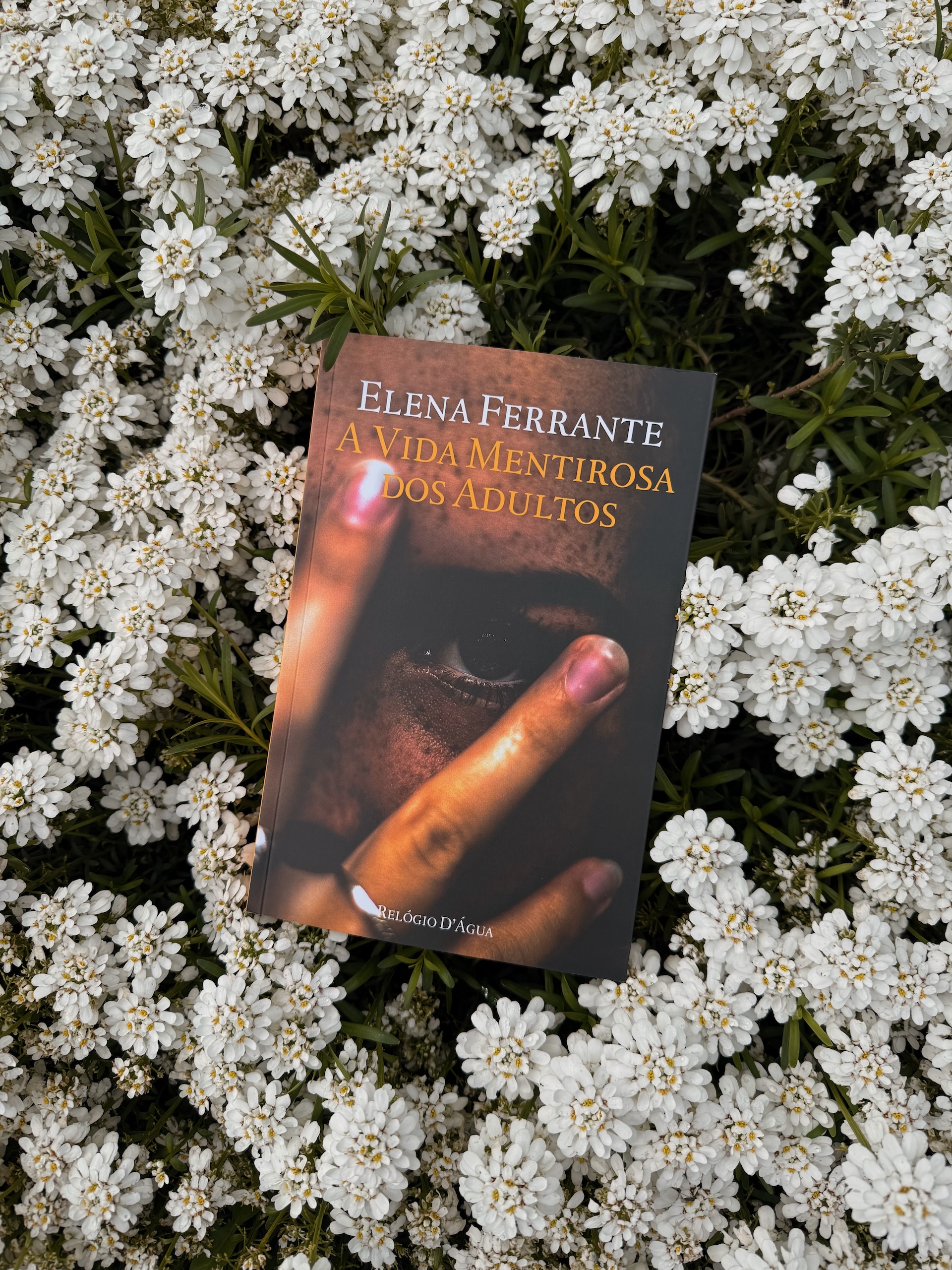 a vida mentirosa dos adultos elena ferrante
