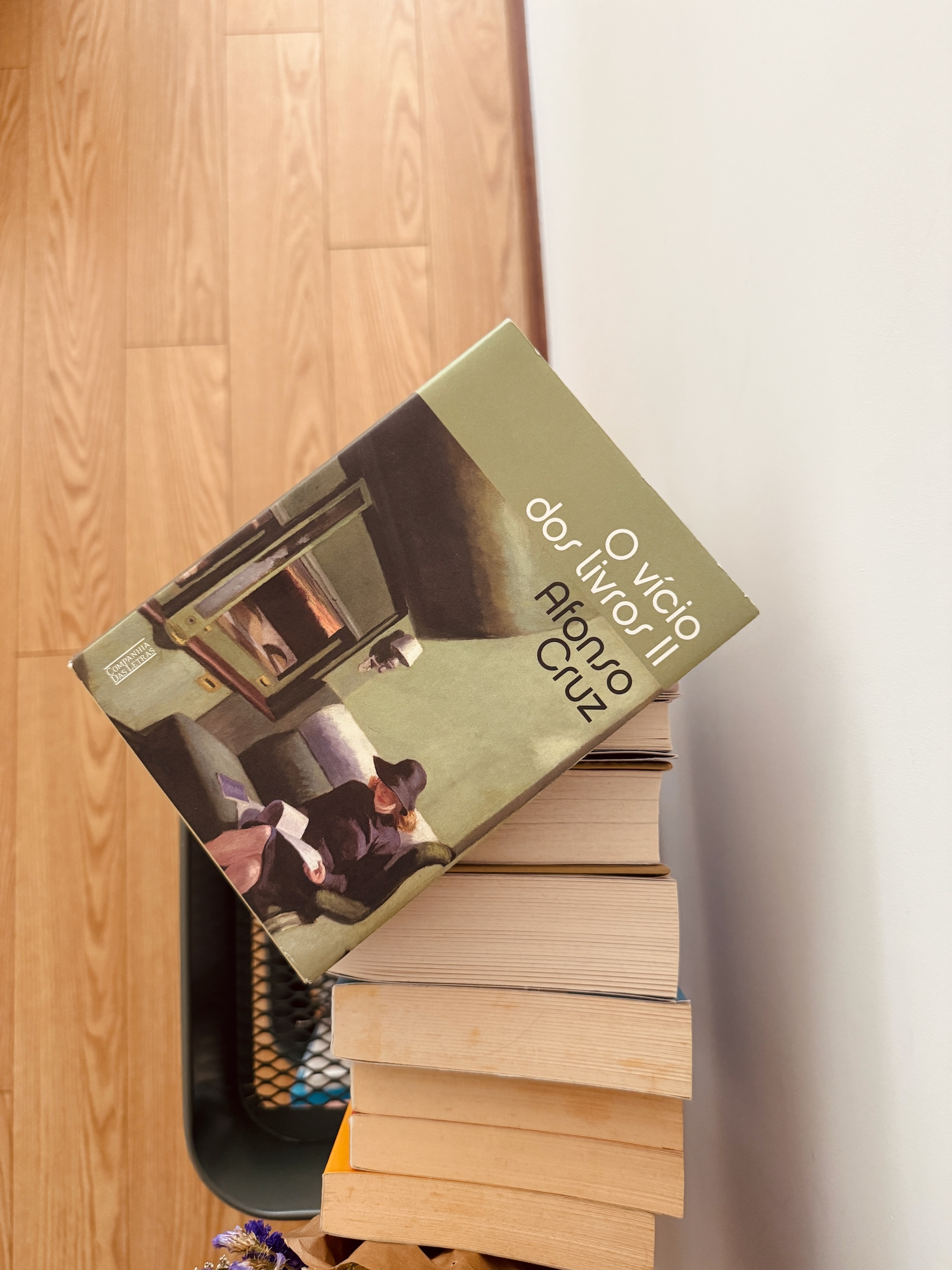 o vício dos livros ii Afonso Cruz